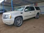 2009 Cadillac Escalade esv Luxury