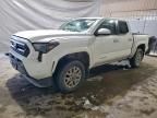2024 Toyota Tacoma Double cab