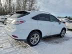2010 Lexus Rx 450h