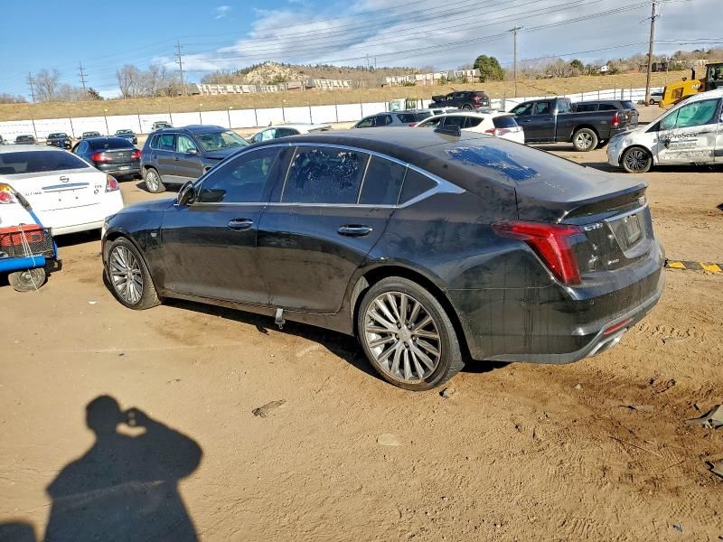 2024 Cadillac CT5 Premium Luxury