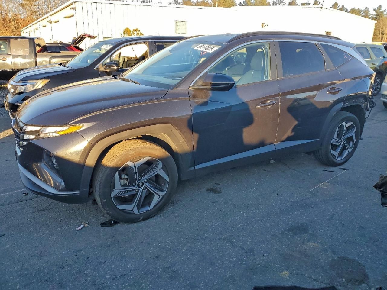 2023 Hyundai Tucson sel