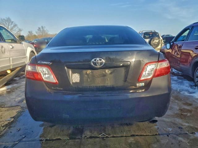 2009 Toyota Camry Hybrid