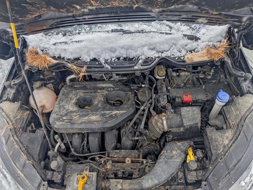 2019 Ford Ecosport ses