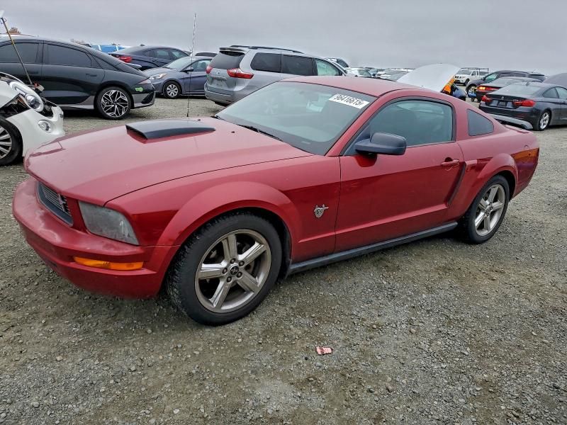 2009 Ford Mustang