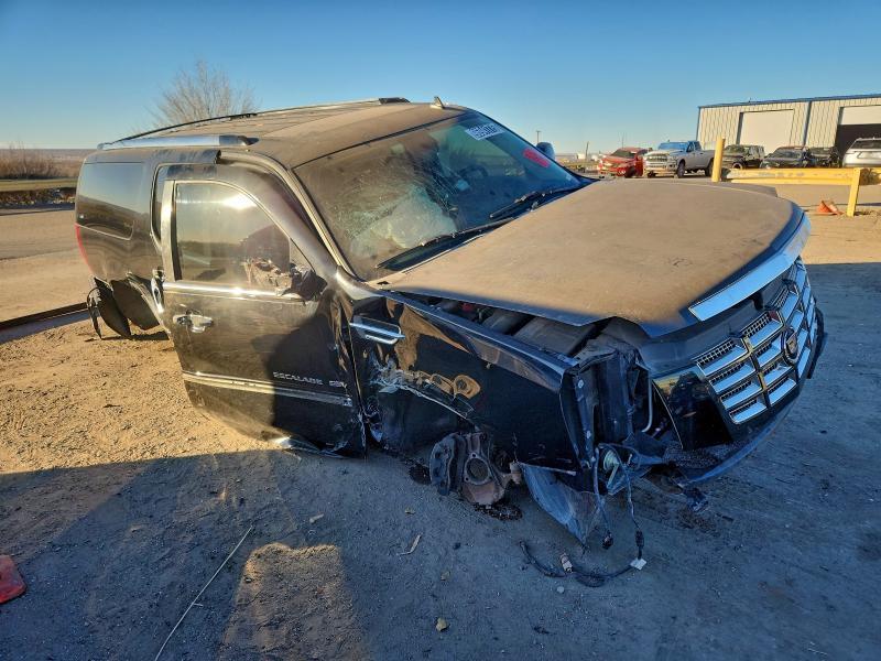 2010 Cadillac Escalade esv Premium