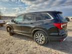 2021 Honda Pilot exl