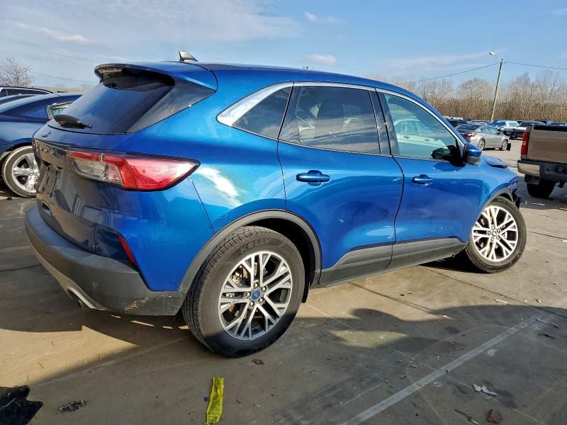 2022 Ford Escape sel