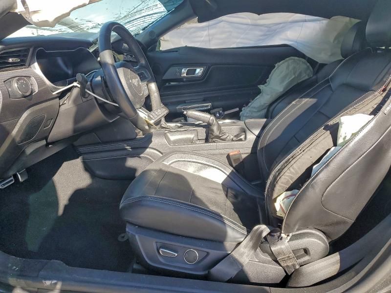 2019 Ford Mustang gt