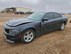 Dodge salvage cars for sale: 2019 Dodge Charger sxt