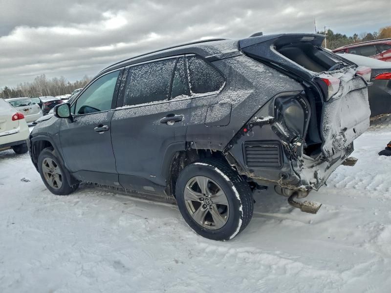 2024 Toyota Rav4 xle