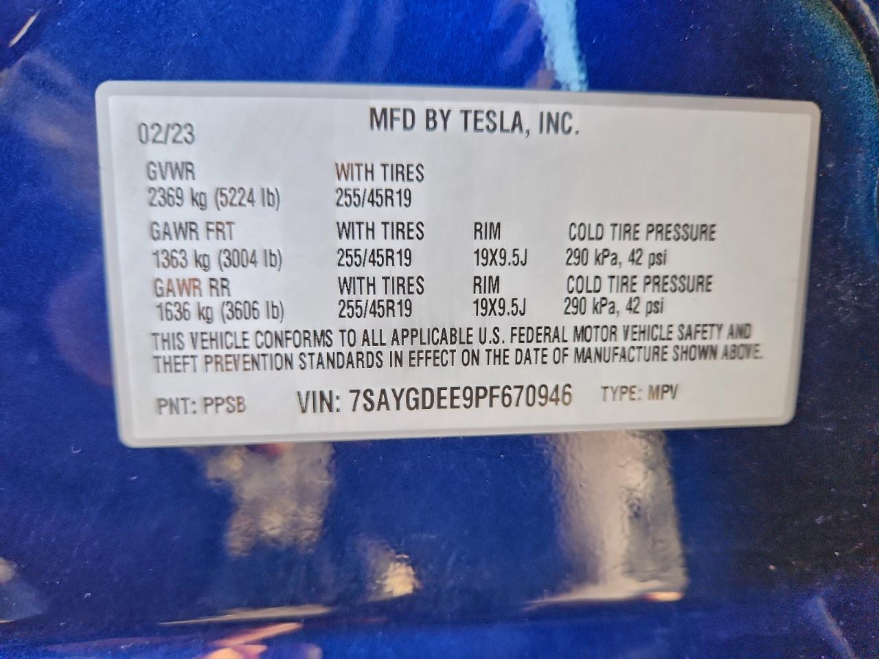 2023 Tesla Model y