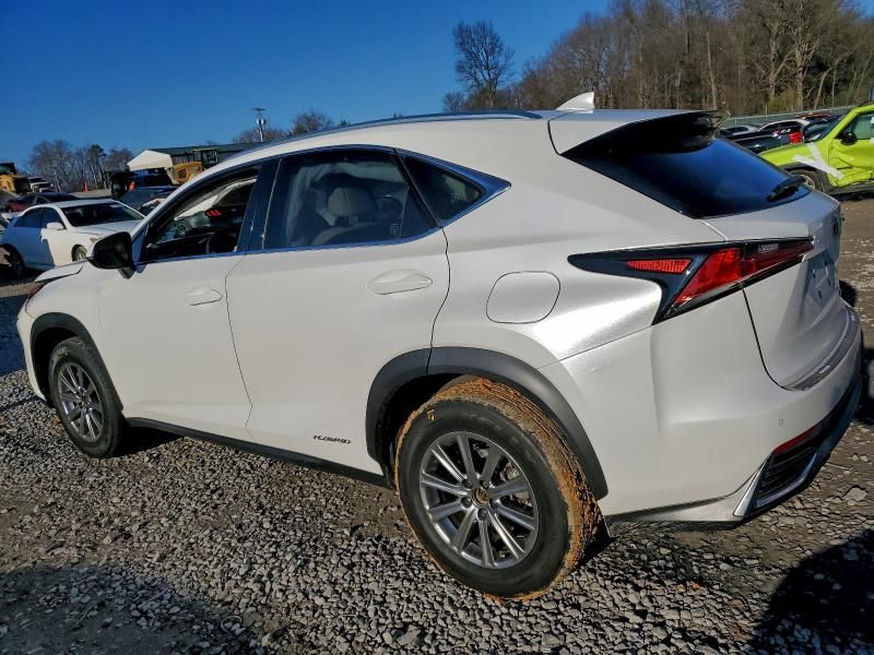2019 Lexus Nx 300h