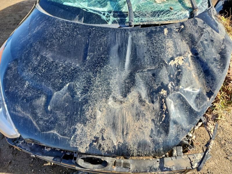 2017 Hyundai Veloster Turbo