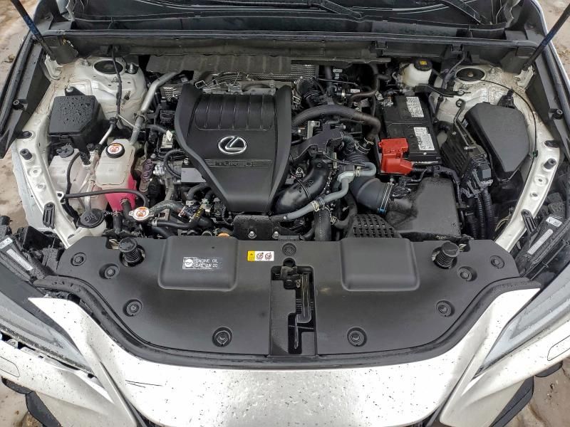 2024 Lexus Nx 350 Luxury