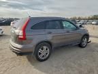 2010 Honda Cr-v exl