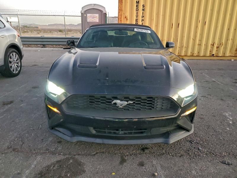2019 Ford Mustang