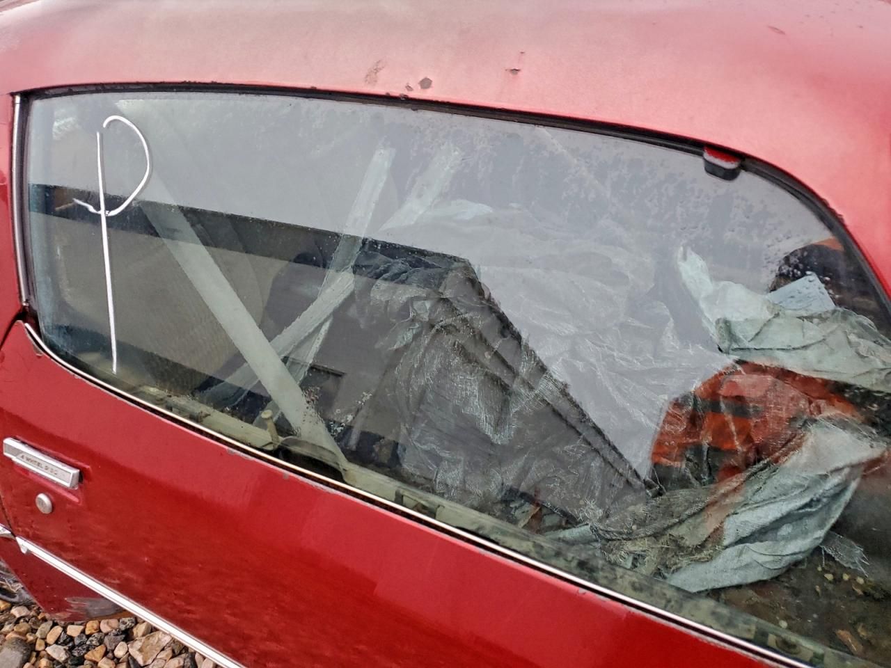 1981 Pontiac Firebird