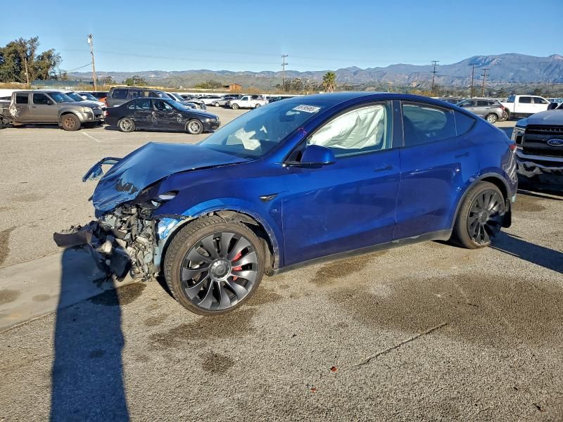 2022 Tesla Model y