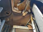 2021 Heartland Tland IDM251BH Mallard Camper