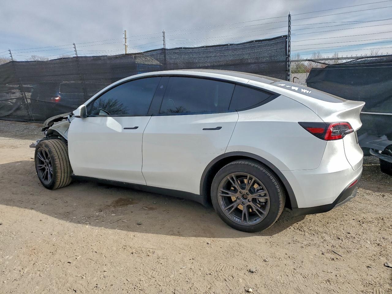 2025 Tesla Model y