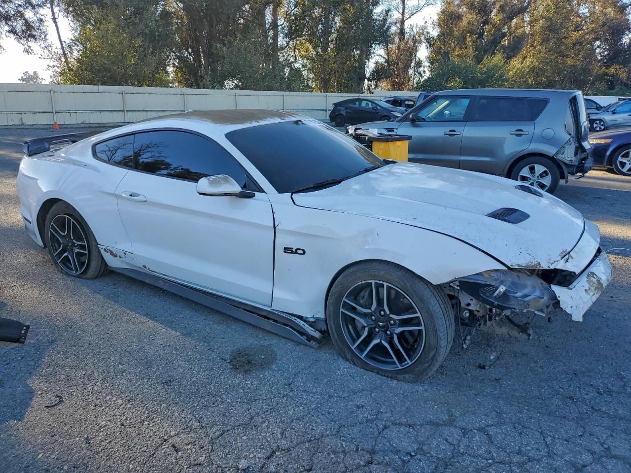 2019 Ford Mustang gt