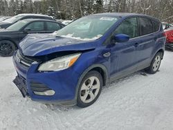 Salvage cars for sale from Copart Cookstown, ON: 2016 Ford Escape se