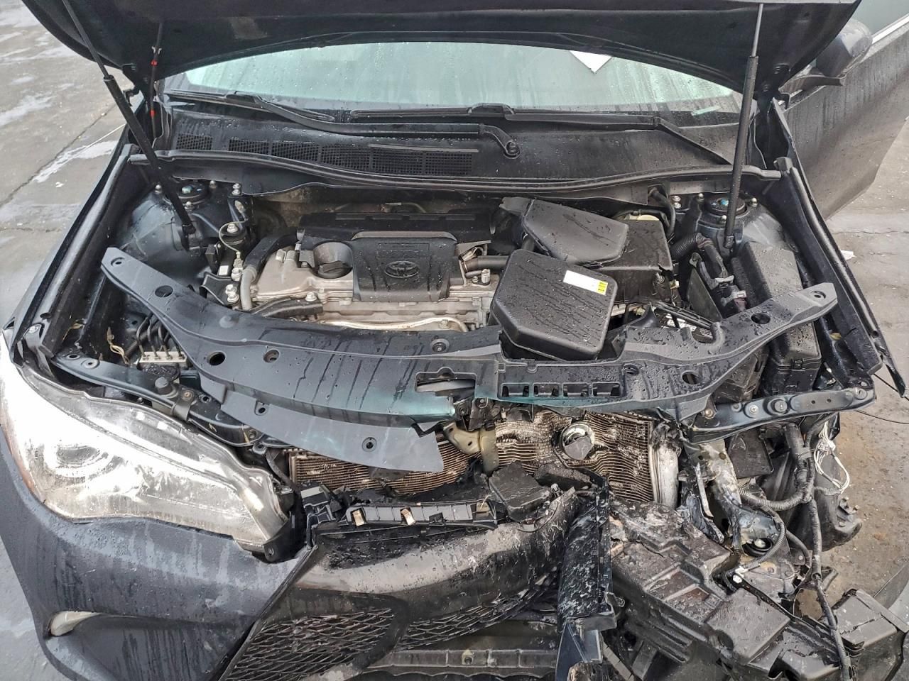 2015 Toyota Camry le