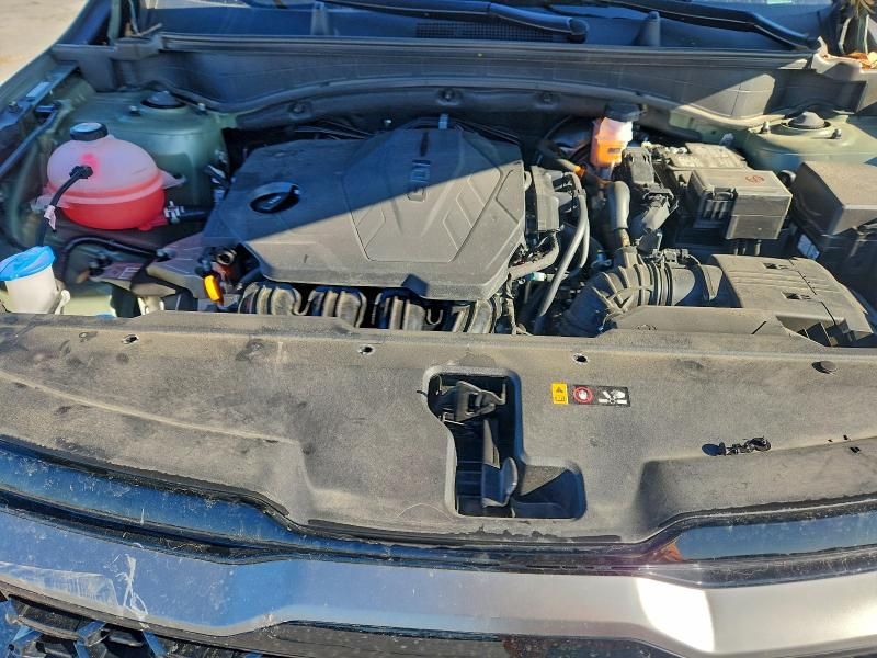 2024 KIA Sportage x Line