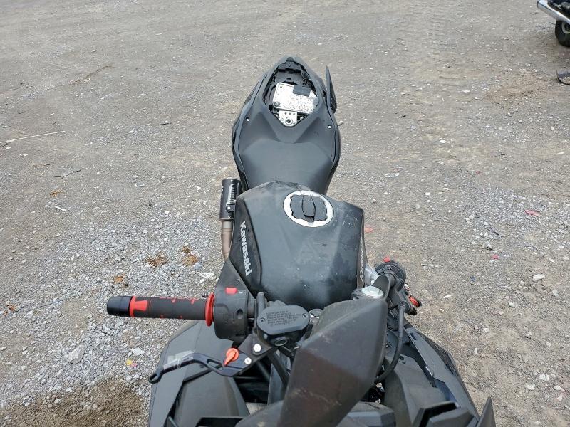 2024 Kawasaki EX500