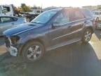 2011 Mercedes-Benz Ml 350 4matic