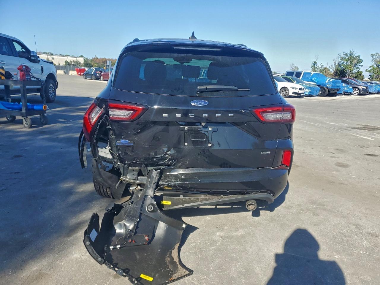 2024 Ford Escape st Line
