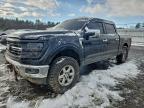 2024 Ford F150 xlt