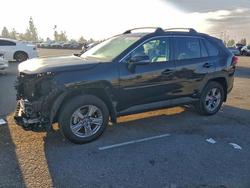 2023 Toyota Rav4 xle for sale in Rancho Cucamonga, CA