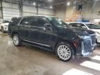 2024 Cadillac Escalade esv Luxury