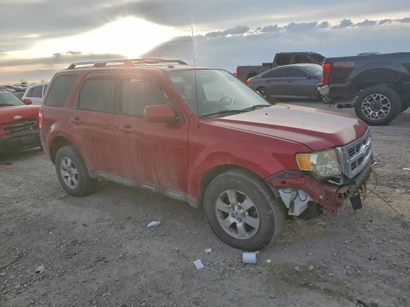 2010 Ford Escape Limited