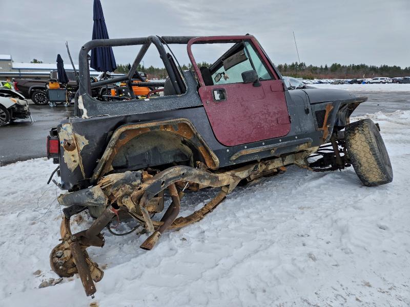 1995 Jeep Wrangler / yj se