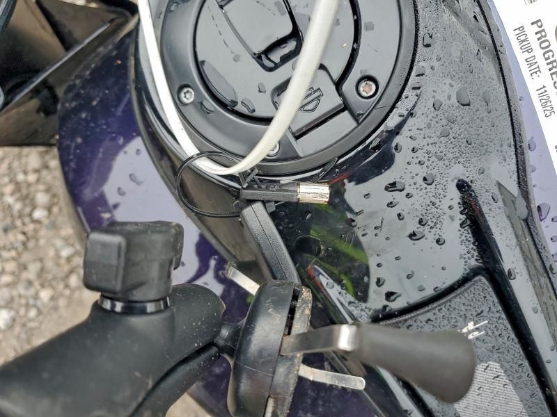 2025 Harley-Davidson Fltrx