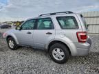 2012 Ford Escape xls