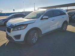2016 KIA Sorento lx for sale in Anthony, TX