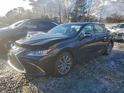 Lexus Vehiculos salvage en venta: 2021 Lexus Es 350 Base