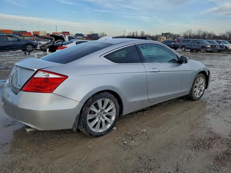 2010 Honda Accord exl