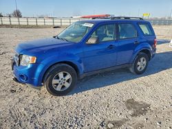 2011 Ford Escape xls en venta en Cahokia Heights, IL