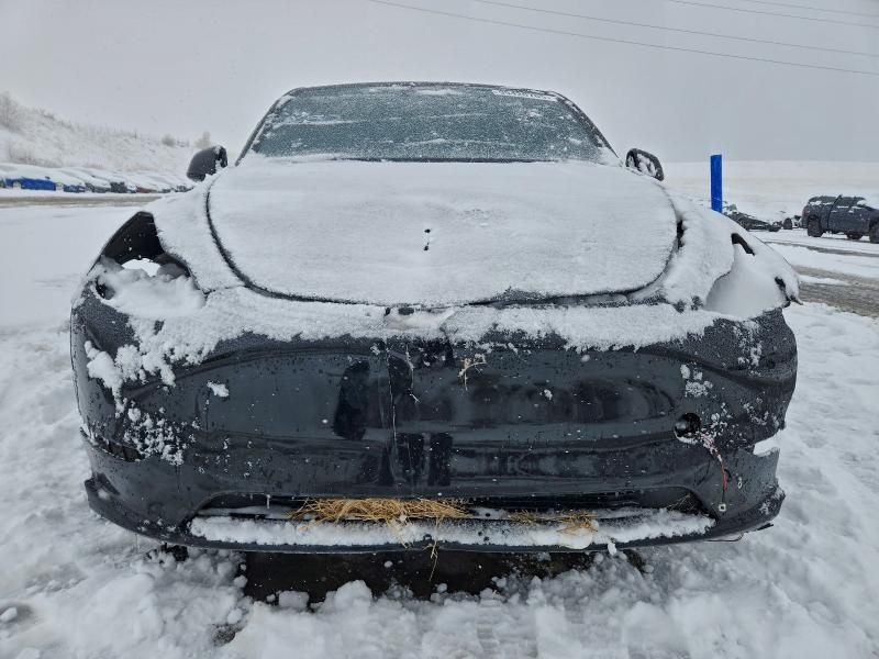 2025 Tesla Model y