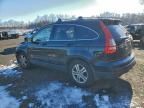 2011 Honda Cr-v exl