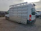 2019 Ford Transit T-250 Delivery Van