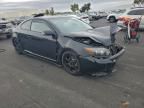 2009 Scion TC