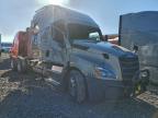 2020 Freightliner Cascadia 126 Semi Truck