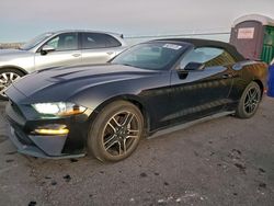 Ford Mustang salvage cars for sale: 2019 Ford Mustang