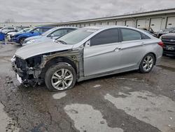 2011 Hyundai Sonata se en venta en Louisville, KY