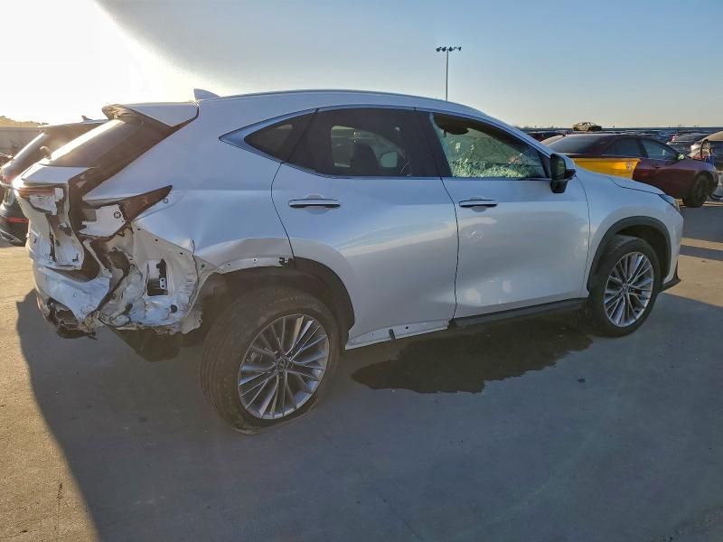 2025 Lexus Nx 250 Premium